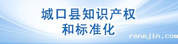 知识产权和标准化